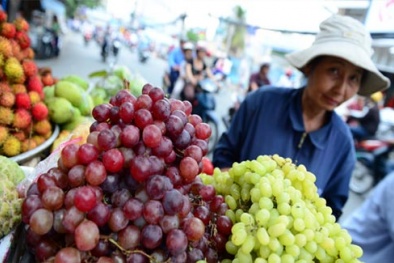 Nhập nhằng nho nhái thương hiệu “xịn”